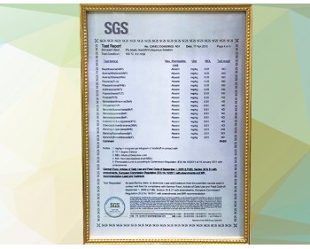 利勇安SGS认证证书